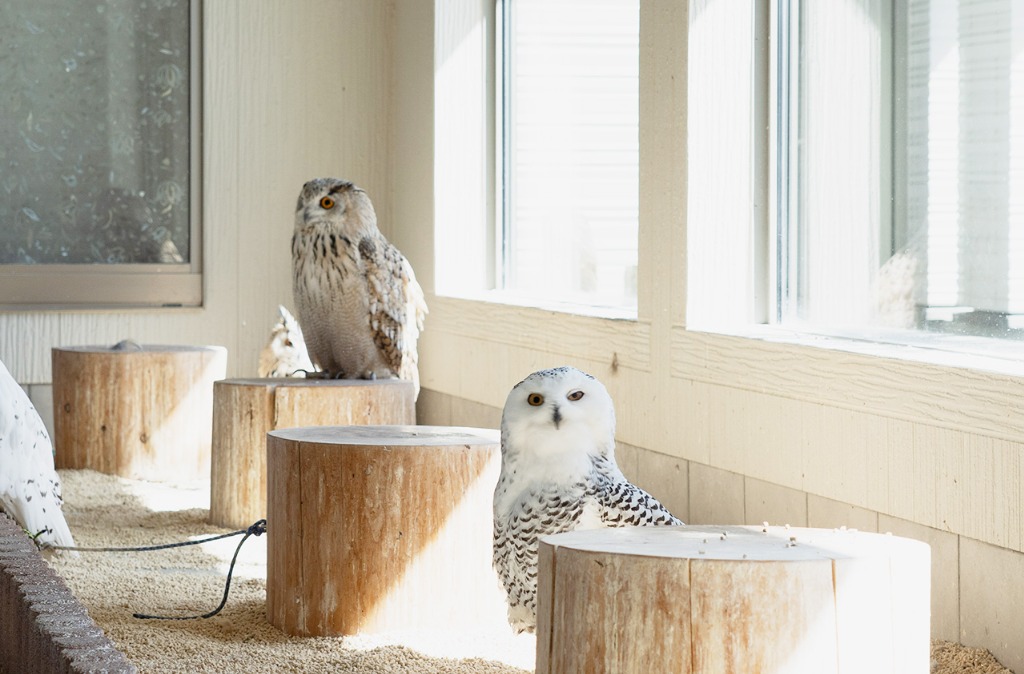 無料相談承ります